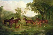 streatlam stud mares and foals